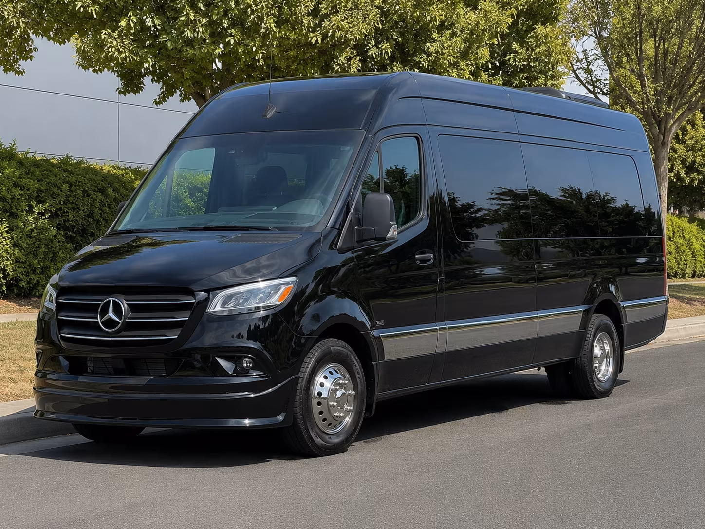 12 passenger sprinter van