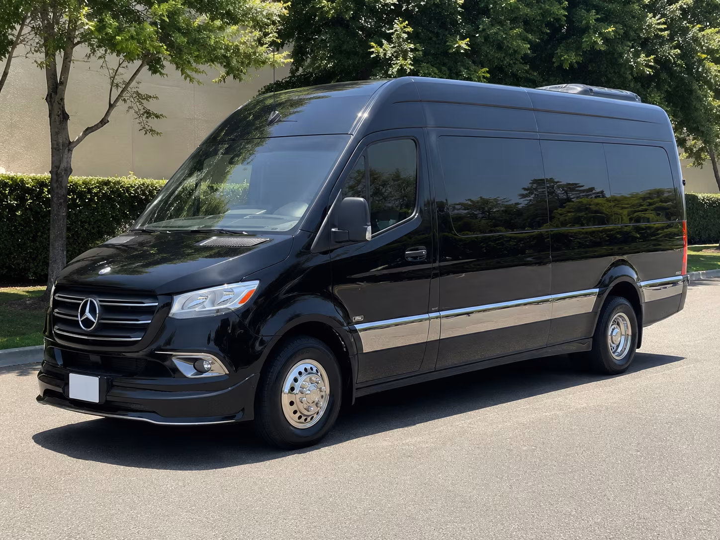 18 passenger sprinter van